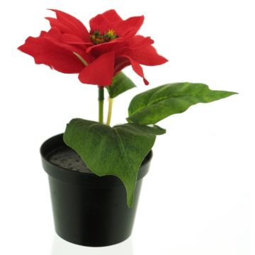Artificial poinsettia NUORU in decorative pot, red, 6"/15cm