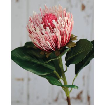 Artificial protea TANJA, light pink-pink, 26"/65cm