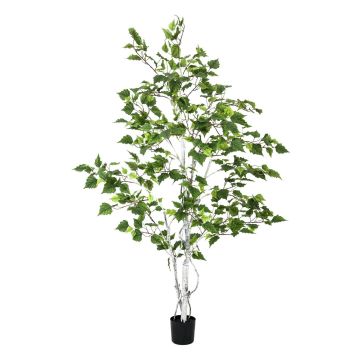 Artificial Silver birch tree WAYNE, artificial stems, green, 5ft/150cm
