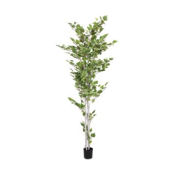 Artificial Silver birch tree WAYNE, artificial stems, green, 6ft/180cm