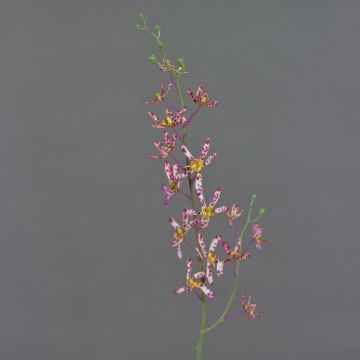Artificial branch Cattleya orchid TRASSA, fuchsia-white-yellow, 31"/80cm