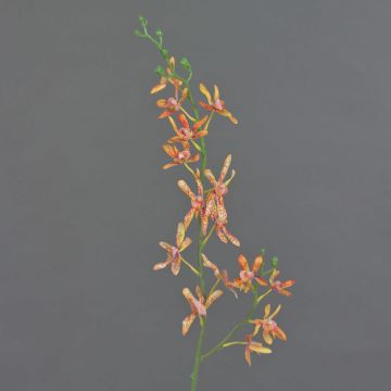 Artificial branch Cattleya orchid TRASSA, orange-yellow, 31"/80cm