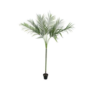 Fake Areca palm KYLIE, weatherproof, 6ft/180cm
