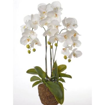 Artificial orchid SATRIA in soil ball, white, 30"/75cm, Ø2.8"-3.1"/7-8cm
