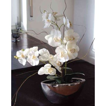 Plastic Phalaenopsis orchid ANALIE, ceramic pot, white, 20"/50cm