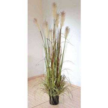 Artificial pampas grass NICOLAS with panicles, green-brown, 6ft/180cm