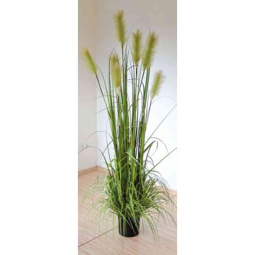 Artificial pampas grass NICOLAS with panicles, green, 6ft/180cm