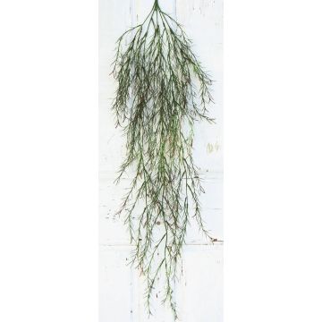 Artificial Rhipsalis DACIAN on spike, green, 4ft/120cm