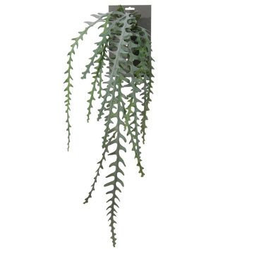 Plastic hanging epiphyllum cactus OHNA, green, 3ft/90cm