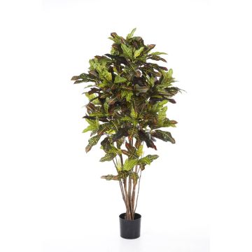 Artificial Croton BEQA, real stems, hardly inflammable, colourful, 6ft/180cm