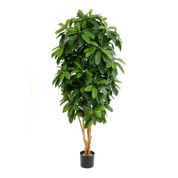 Artificial Schefflera MADDISON, natural stems, flame retardant, green, 5ft/140cm
