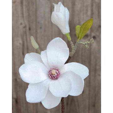 Artificial magnolia FEMI, white, 14"/35cm, Ø4.7"/12cm