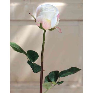 Artificial Rose SAPINA, cream-apricot, 24"/60cm, Ø2.4"/6cm