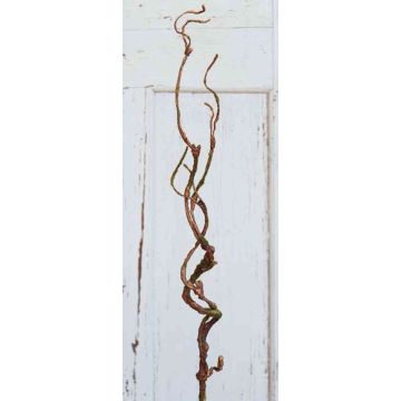 Plastic corkscrew willow branch TONY, brown, 30"/75cm