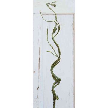 Plastic corkscrew willow branch TONY, green-brown, 30"/75cm