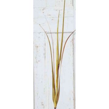 Artificial pampas grass branch ILYAS, green-brown, 4ft/120cm