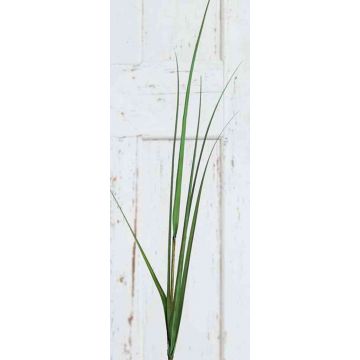 Artificial pampas grass branch ILYAS, green, 4ft/120cm
