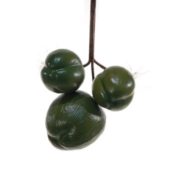 Decorative fruit Coconuts TIHANA, 3 pieces, green, 4.7"/12cm