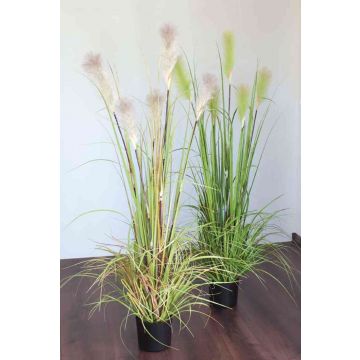 Artificial pampas grass NICOLAS with panicles, green-brown, 5ft/150cm
