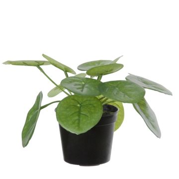 Artificial plant Chinese money plant BIRCAN, green, 5.9"/15cm