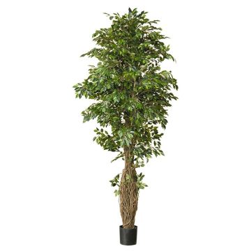 Artificial plant Ficus Benjamina ALMINKO, natural trunk, green, 11ft/330cm