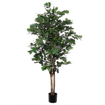 Artificial tree oak BANEM with fruits, real trunk, green, 6ft/180cm