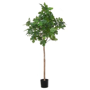 Artificial fig tree BOJANO, natural trunk, green, 5ft/150cm