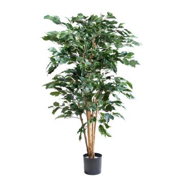 Artificial plant Ficus benjamina AKAHI, natural trunk, green, 5ft/150cm