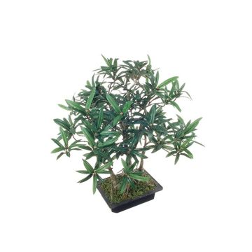 Artificial tree bonsai podocarpus ALIKANA with roots, decorative bowl, 18"/45cm