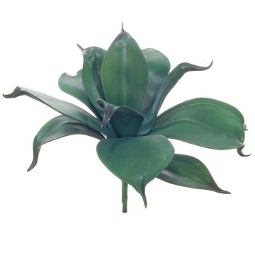 Decorative succulent Foxtail agave MEALLA, spike, green, 10"/25cm