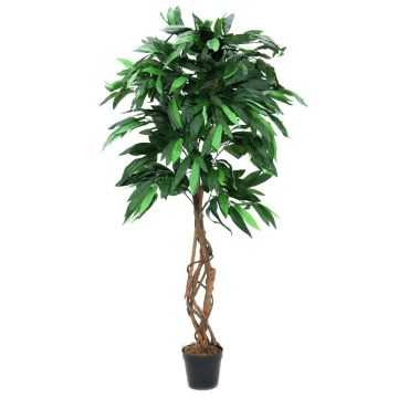 Artificial Mango tree BALDO, natural stems, green, 5ft/150cm