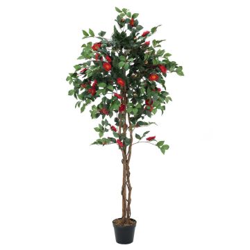 Artificial Camellia spray COSTIA, real stems, flowers, red, 6ft/180cm