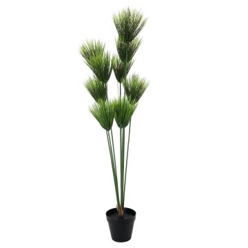 Plastic cyperus papyrus grass BANOU, green, 5ft/150cm