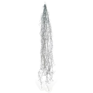 Decorative succulent Tillandsia Usneoides MIRIEL, grey, 4ft/130cm