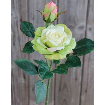 Artificial rose SINJE, cream-green, 14"/35cm, Ø3.5"/9cm