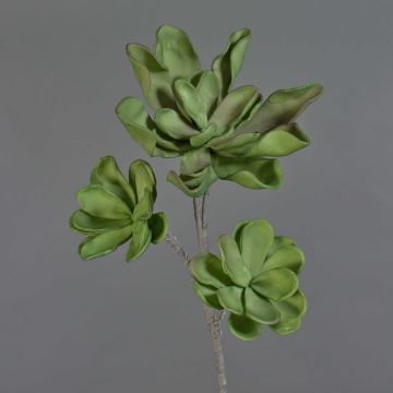 Plastic Echeveria branch ORALY, green, 3ft/95cm, Ø5.9"-9"/15-24cm
