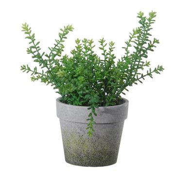 Artificial herb Thyme TIMPA, planter, green, 11"/28cm
