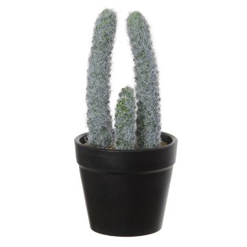Artificial columnar cactus TIRRA, planter, white-green, 6.3"/16cm