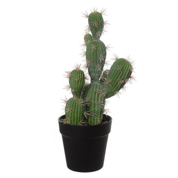 Decorative San Pedro cactus TORINU, planter, green, 16"/40cm