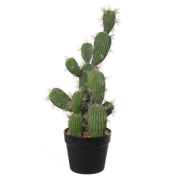 Decorative San Pedro cactus TORINU, planter, green, 20"/50cm