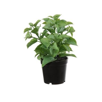 Plastic plant Mint TSUKI, green, 9"/24cm