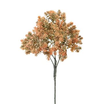 Decorative sedum rubrotinctum NIRMALA, spike, orange-green, 16"/40cm