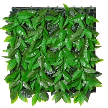 Decorative hedge / mat Photinia CHAVA, green, 20"x20"/50x50cm