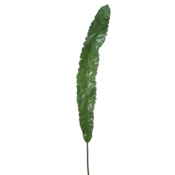 Decorative aspidistra leaf DILANA, 4ft/120cm