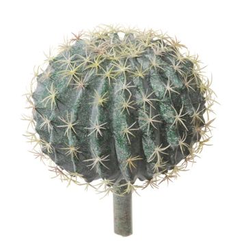 Decorative cactus Mother-in-law's cushion LIEU, spike, green, 10"/25cm, Ø 8"/20cm