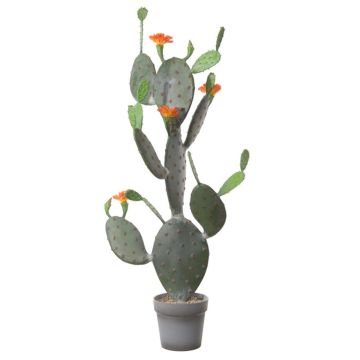 Decorative prickly pear LEODORA with flowers, decorative pot, green-orange, 4ft/120cm