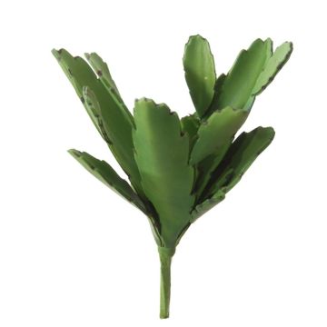 Decorative epiphyllum cactus LUMIEL, spike, green, 8"/20cm