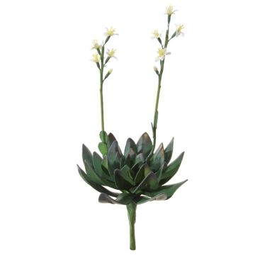 Artificial succulent Aeonium LILKA with flowers, spike, green-white, 14"/35cm