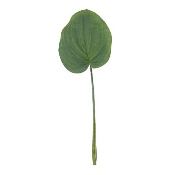 Artificial hosta leaf ZENISA, green, 16"/40cm