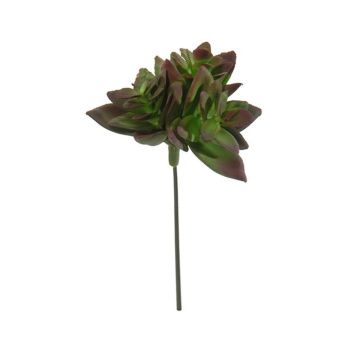 Artificial echeveria macdougallii ODINU, spike, burgundy-green, 3.1"/8cm